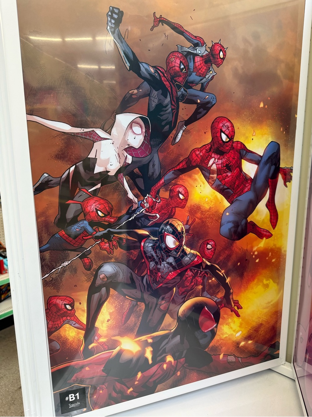 Spider-Verse Wall Art Poster - Red, Black, White